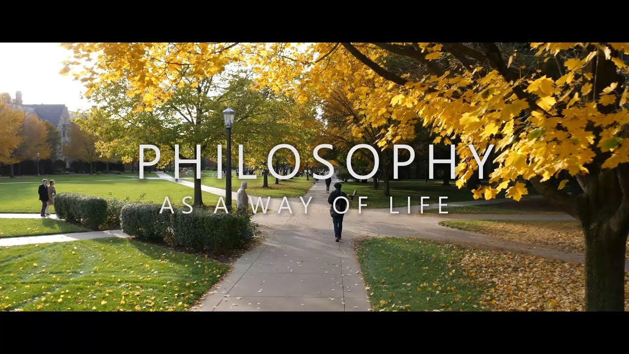 Importance Philosophy Life